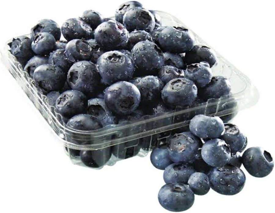 BLUEBERRY /MORAS