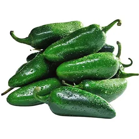 [35] CHILE JALAPEÑO