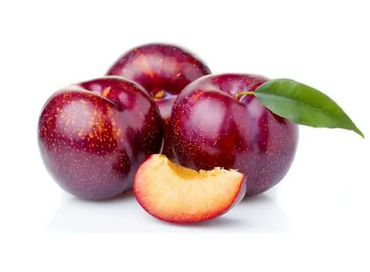 CIRUELA ESPAÑA