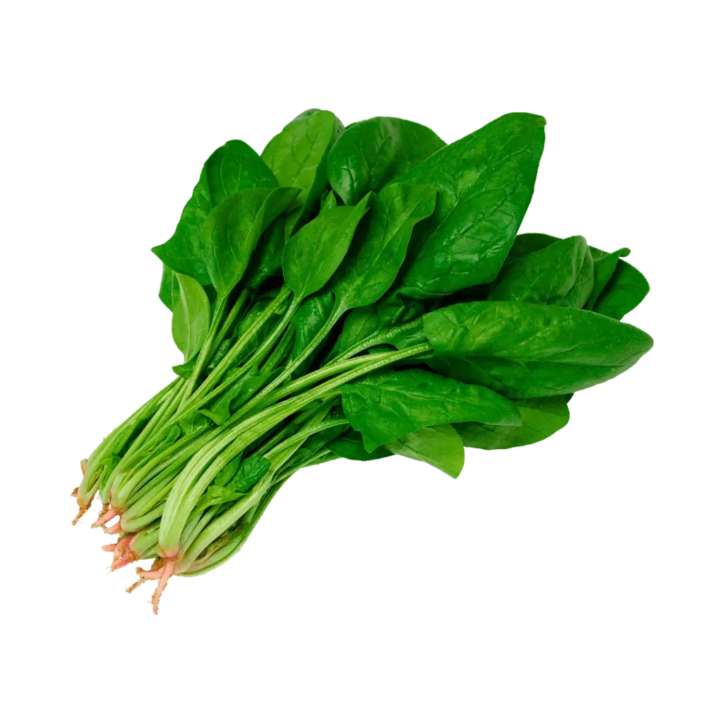 ESPINACA SUELTA