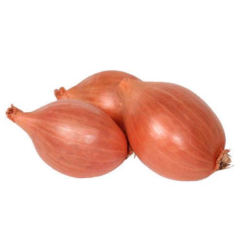 HECHALOT