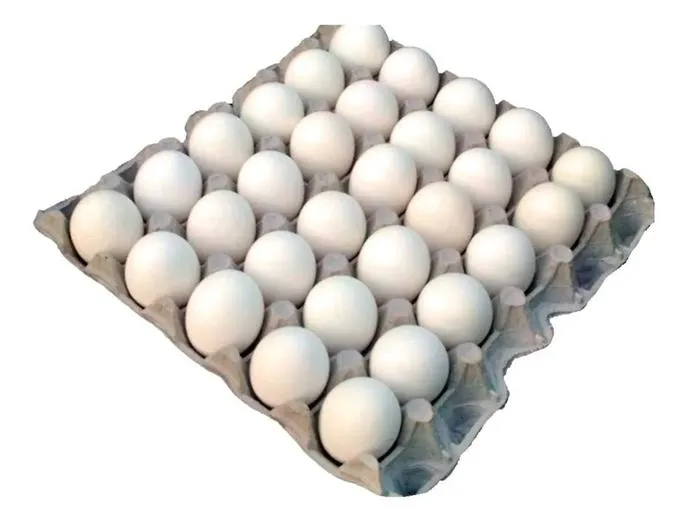 HUEVO