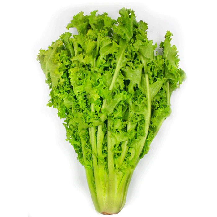 LECHUGA ESCAROLA