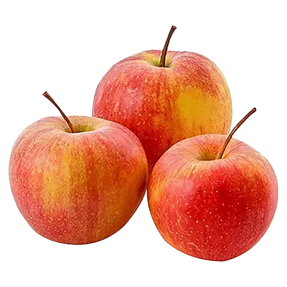 MANZANA GALA