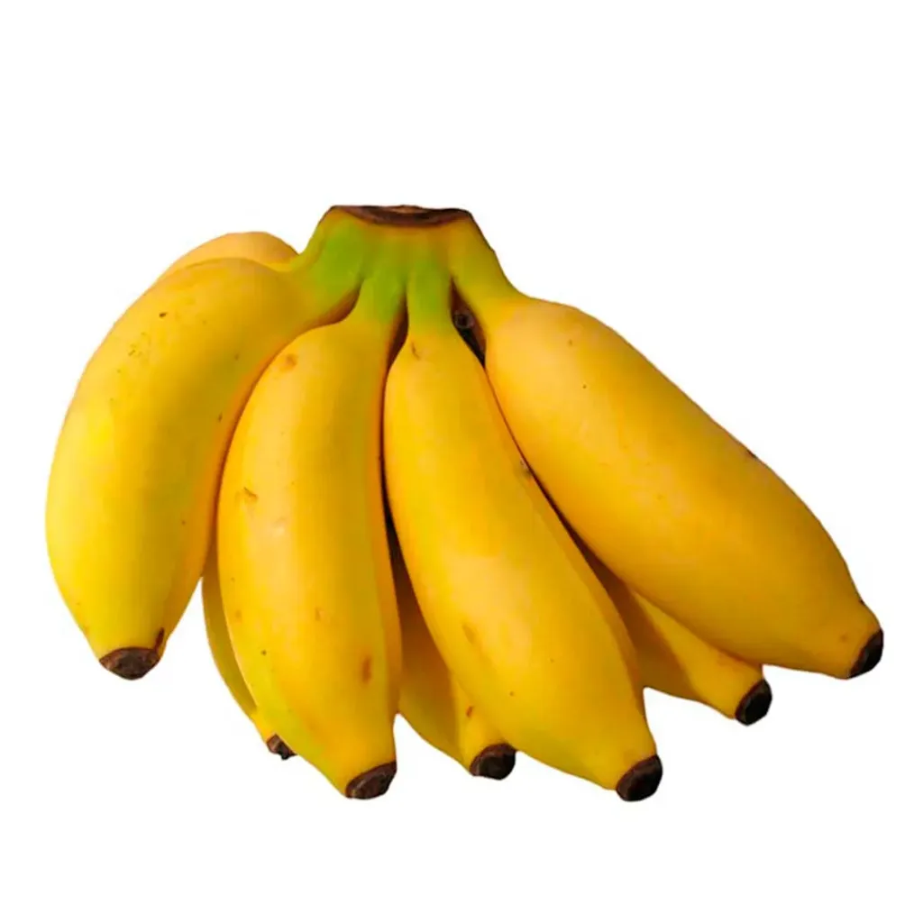 [143] PLATANO MANZANO