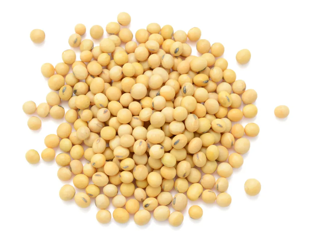 SOYA